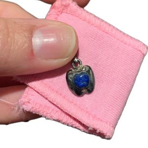 ❤️sold♥️Apple Charm